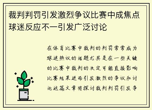 裁判判罚引发激烈争议比赛中成焦点球迷反应不一引发广泛讨论