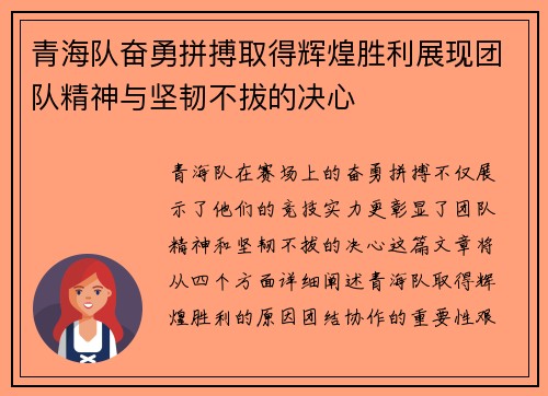 青海队奋勇拼搏取得辉煌胜利展现团队精神与坚韧不拔的决心