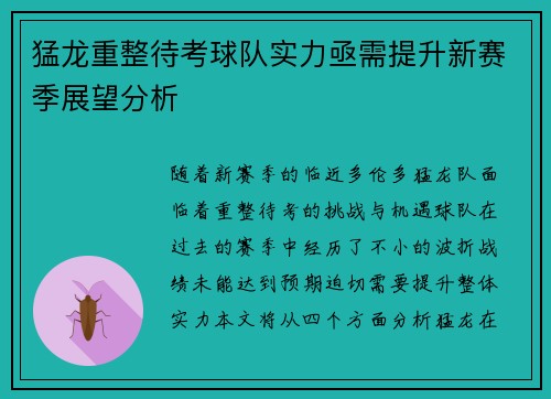 猛龙重整待考球队实力亟需提升新赛季展望分析