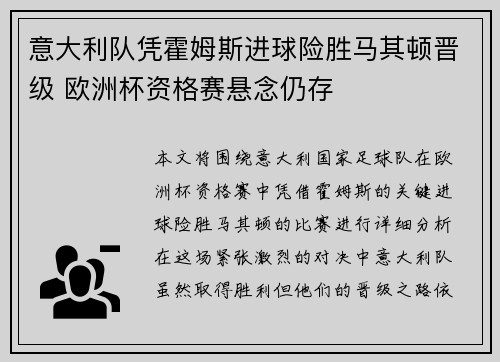 意大利队凭霍姆斯进球险胜马其顿晋级 欧洲杯资格赛悬念仍存