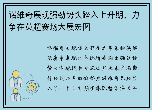 诺维奇展现强劲势头踏入上升期，力争在英超赛场大展宏图