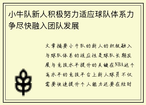 小牛队新人积极努力适应球队体系力争尽快融入团队发展