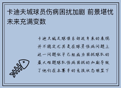 卡迪夫城球员伤病困扰加剧 前景堪忧未来充满变数