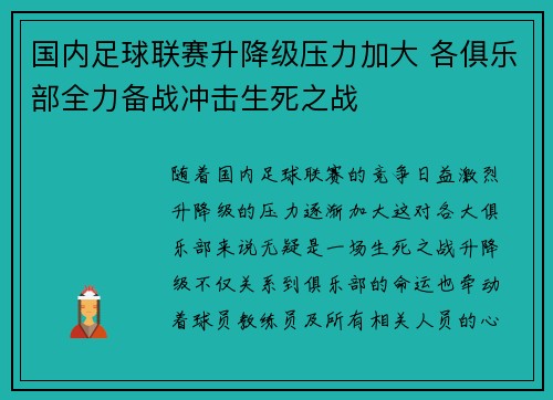 国内足球联赛升降级压力加大 各俱乐部全力备战冲击生死之战