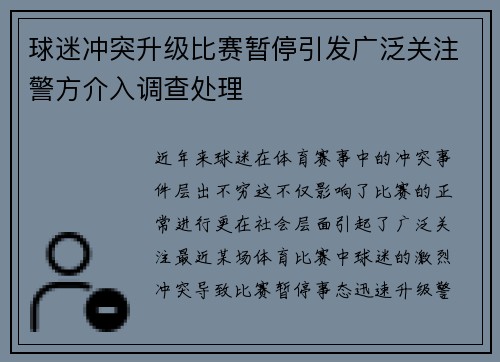 球迷冲突升级比赛暂停引发广泛关注警方介入调查处理